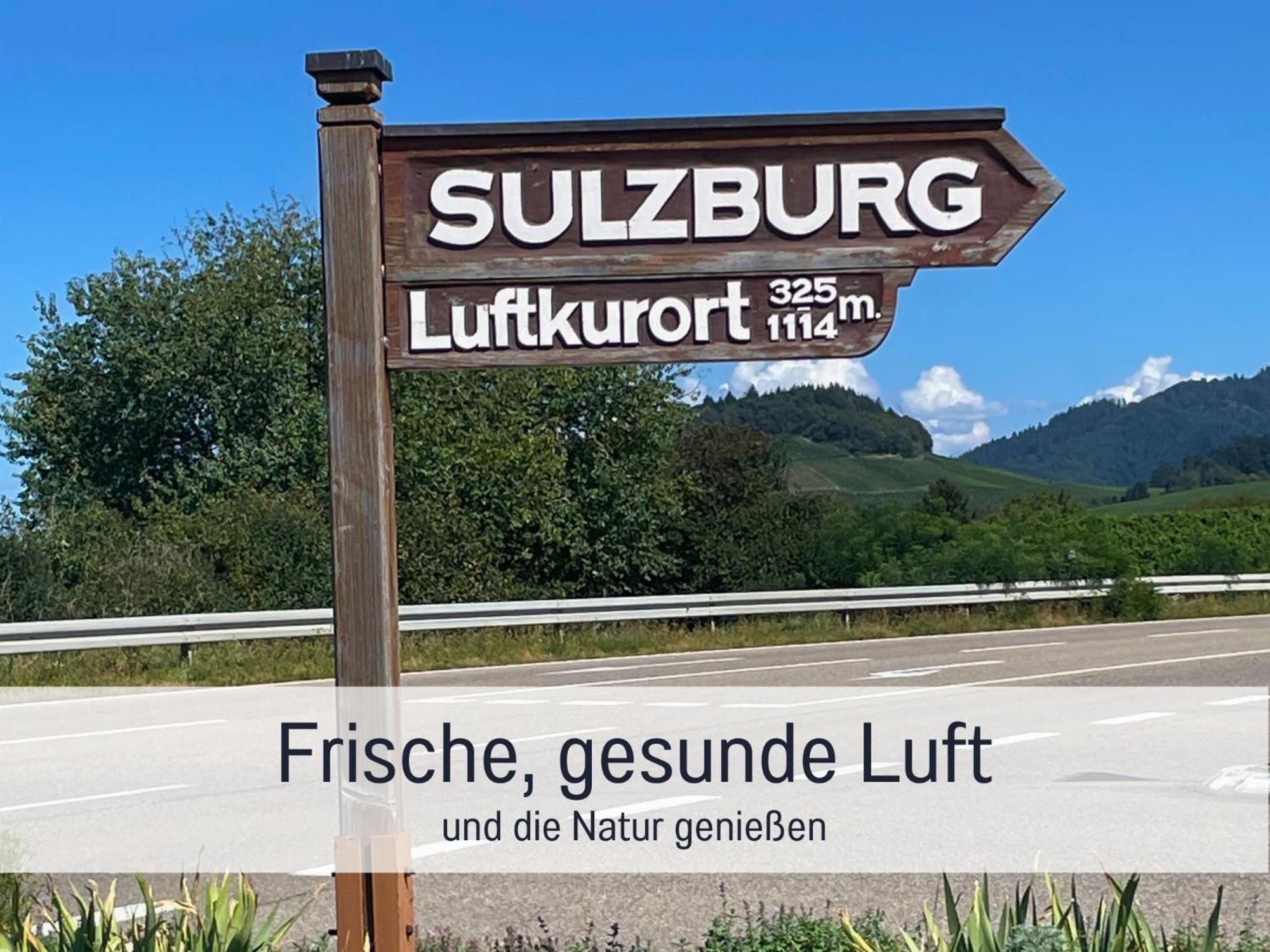 Ferienwohnungen Auszeit Langmatt Sulzburg Zewnętrze zdjęcie