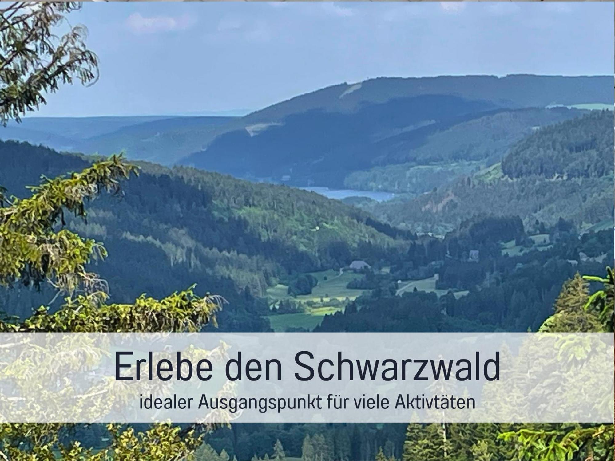 Ferienwohnungen Auszeit Langmatt Sulzburg Zewnętrze zdjęcie