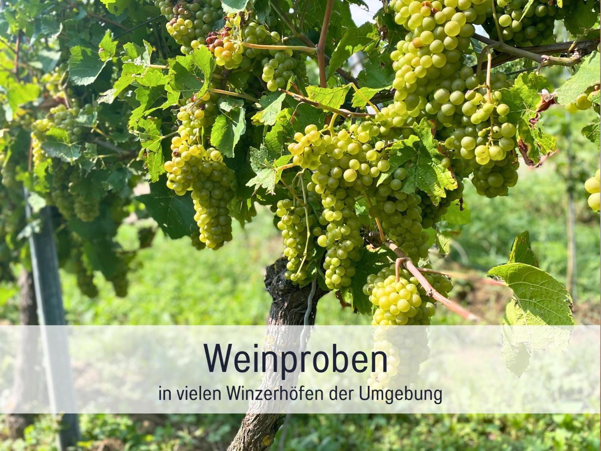 Ferienwohnungen Auszeit Langmatt Sulzburg Zewnętrze zdjęcie