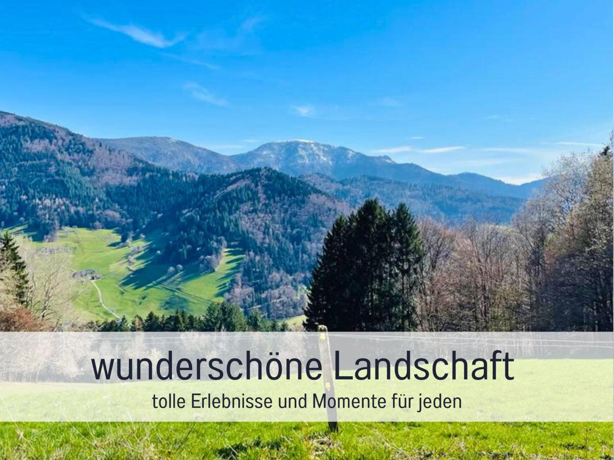 Ferienwohnungen Auszeit Langmatt Sulzburg Zewnętrze zdjęcie